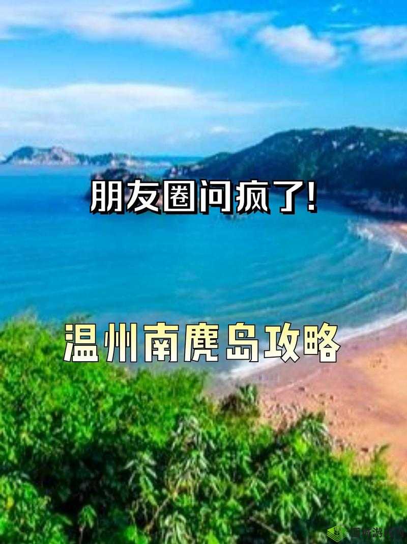 91 免费版：全新体验等你来探索