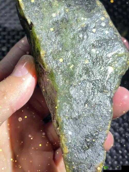 100 款夜间禁用入口网页下载:探索未知世界的冒险之旅