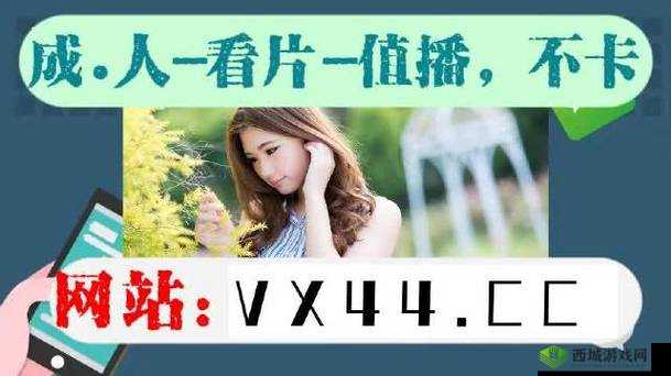 无区码一码二码三码:探索未知的密码世界