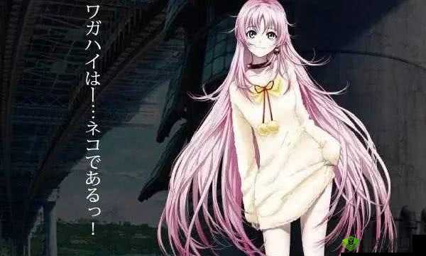 成品动漫:不止是动漫