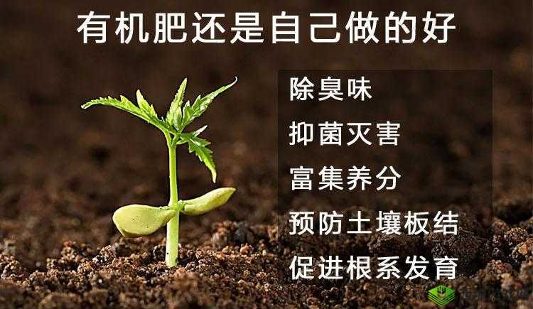 涓夈毇娓鐗堟櫘閫氳瘽鐗堝噳灞:独特魅力展现