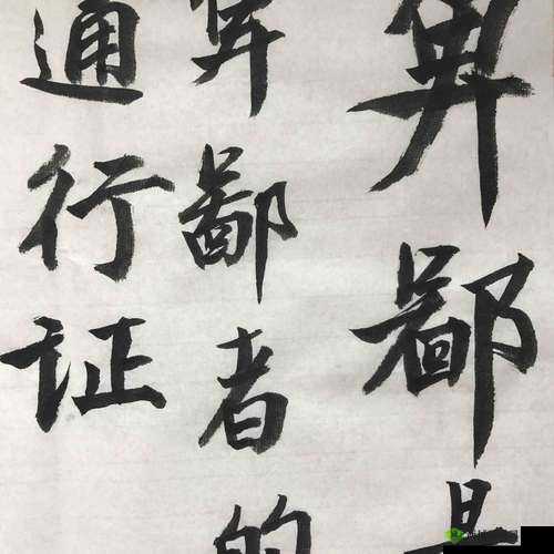 浜氭床灏虹爜鍜屾ф床灏虹爜鍖哄埆琛ｆ湇：探寻背后的故事