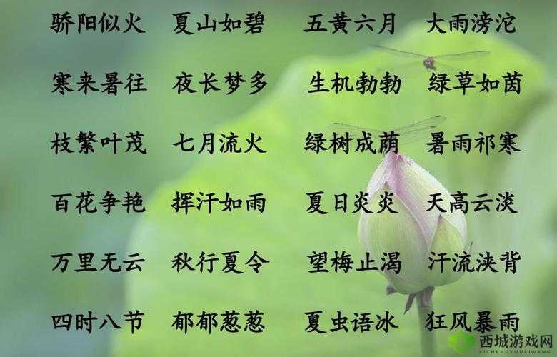 四季之门:解读春夏秋冬与门的成语之谜