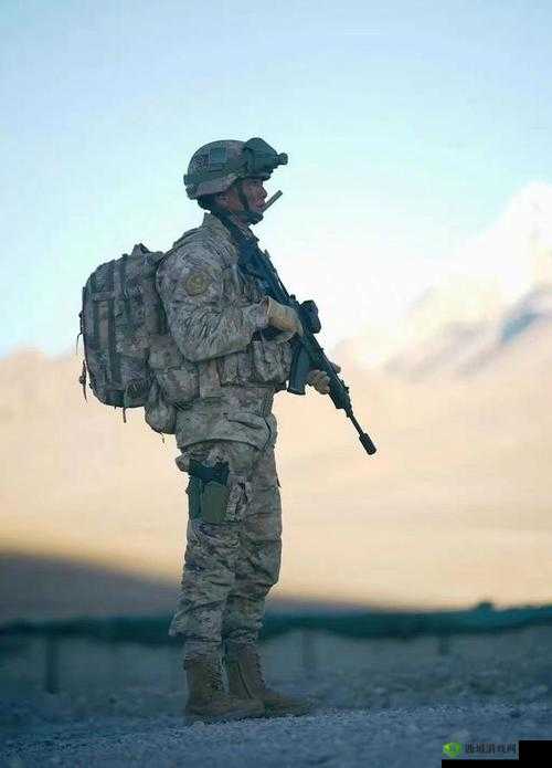 阿拉德之怒石头人形师附魔卡属性解析:全面提升战斗效能与角色实力