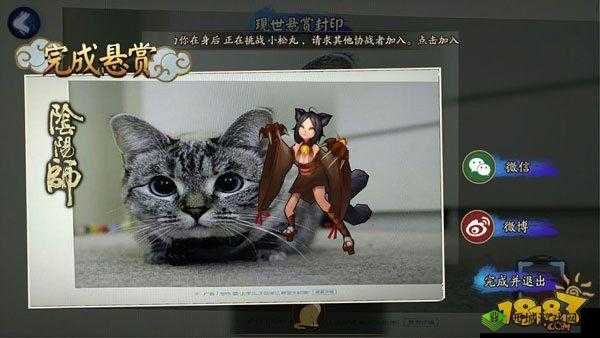 阴阳师命猫神秘信物线索揭秘：猫信物线索图片分享，探寻猫之守护者的奥秘