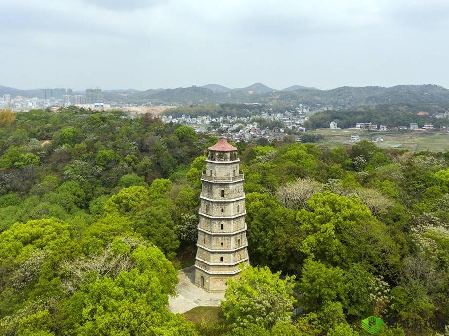 鑻忚蒋杞浼樿川鐏屾簤绯荤粺:揭秘娱乐圈背后的故事