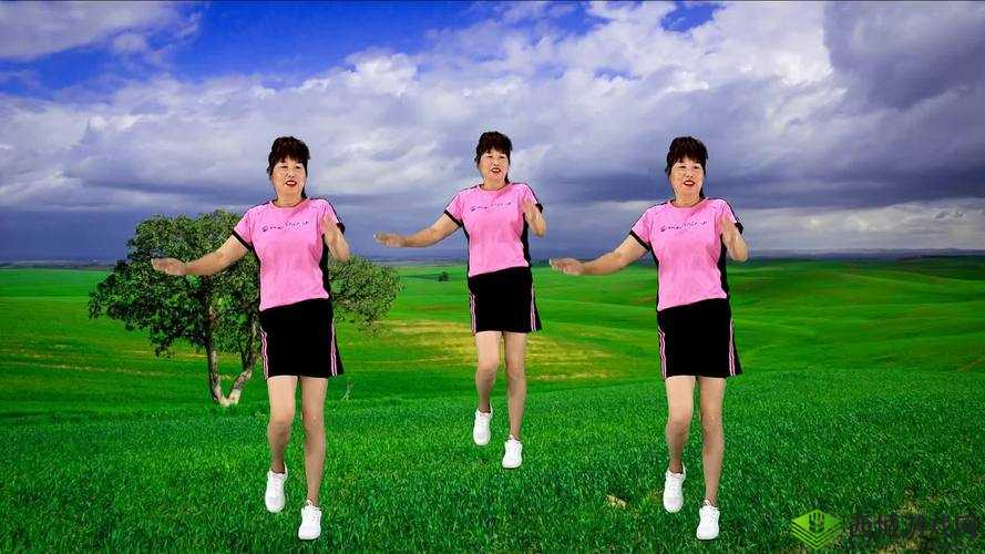 淇勭綏鏂浜虹熻祦鏂拌秼鍔:相关探讨