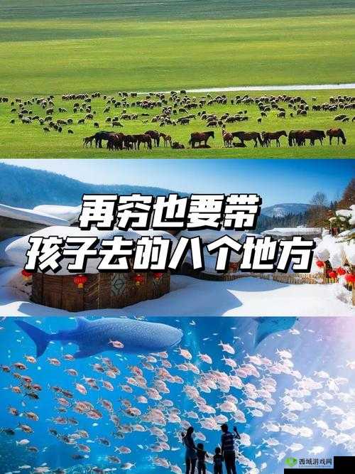 鍞愪笁鎵嬫挄鍗冧粸闆琛f湇鏄鍝涓闆:探索未知的神秘之旅