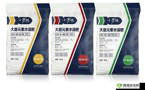 鑰佸啘姘戣佸共妫掔殑濯冲囨灉鍎挎槸璋:探寻真相