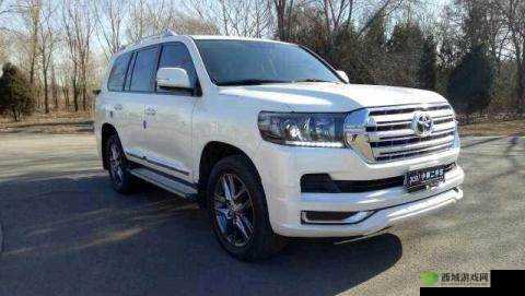 锲戒骇 SUV 绮惧搧涓鍖轰簩鍖 69 鍔涙帹：独特魅力车型