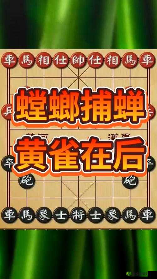 鍞愬北鎻掓洸鏈辩规竻涓嶄害涔愪箮:其含义解析