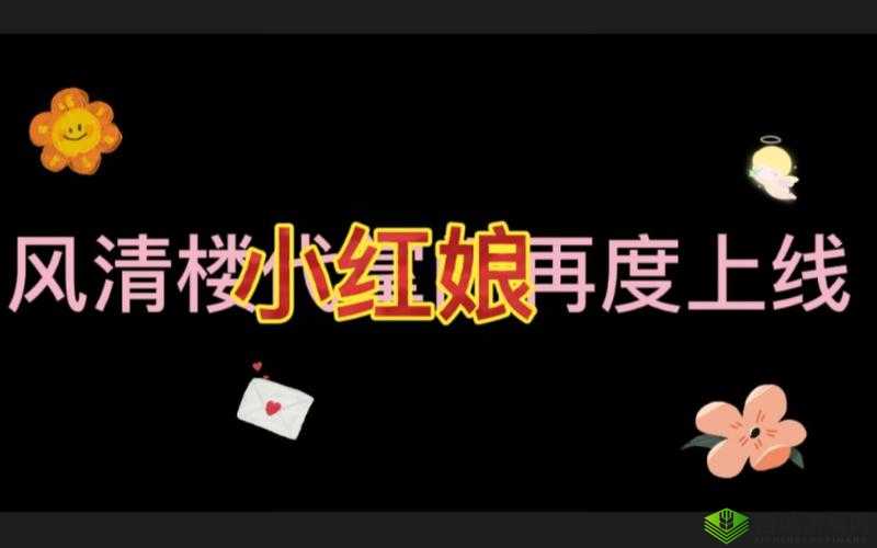 缃戞洕闂ㄩ粦鏂欐h兘閲:探寻未知的奥秘