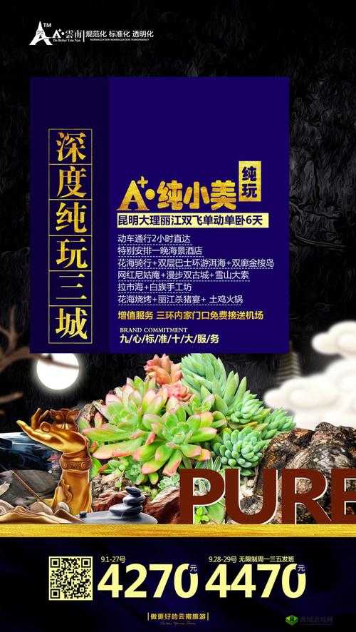 鎻掓洸鐨勮嗛戝湪绾挎挱鏀惧厤璐硅傜湅楂樻竻之独特探索