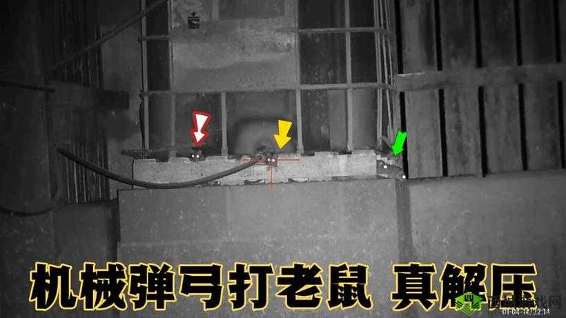 涓鍗′簩鍗 3 鍗 4- 鐮佹柊鍖  的奥秘