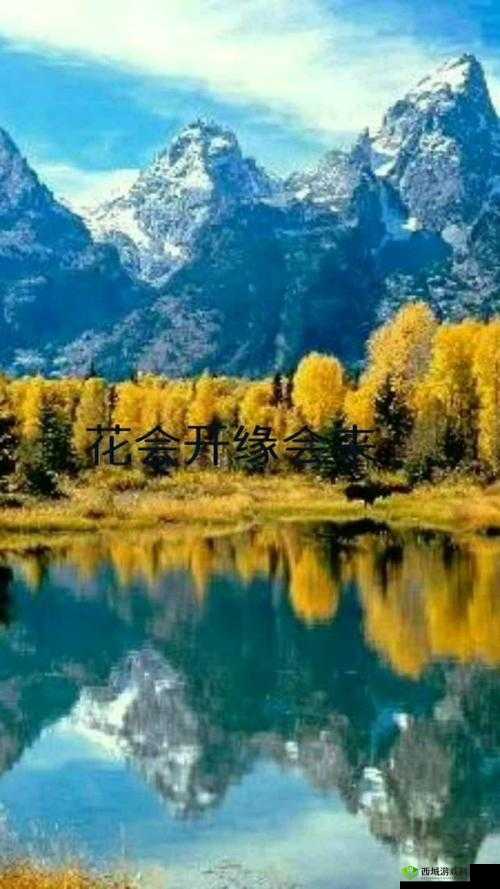 鍚冭姳鏍稿績娴佹按鍠:探寻时尚与舒适的完美结合