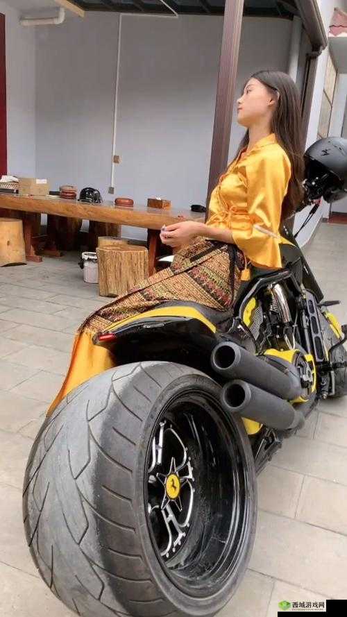 缂呯敻14may18_XXXXXLmedjyf：相关介绍