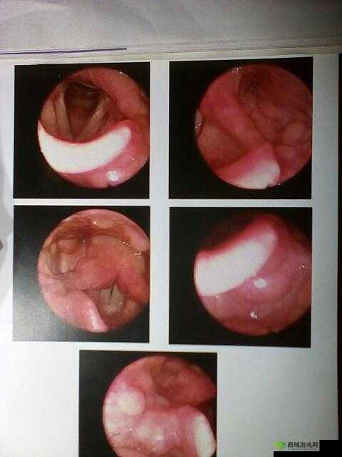 闅句互鍚榻縃PO:独特的存在