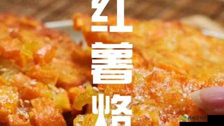 閾滈摐閾滈摐閾滈摐濂藉氭按的奇妙之旅