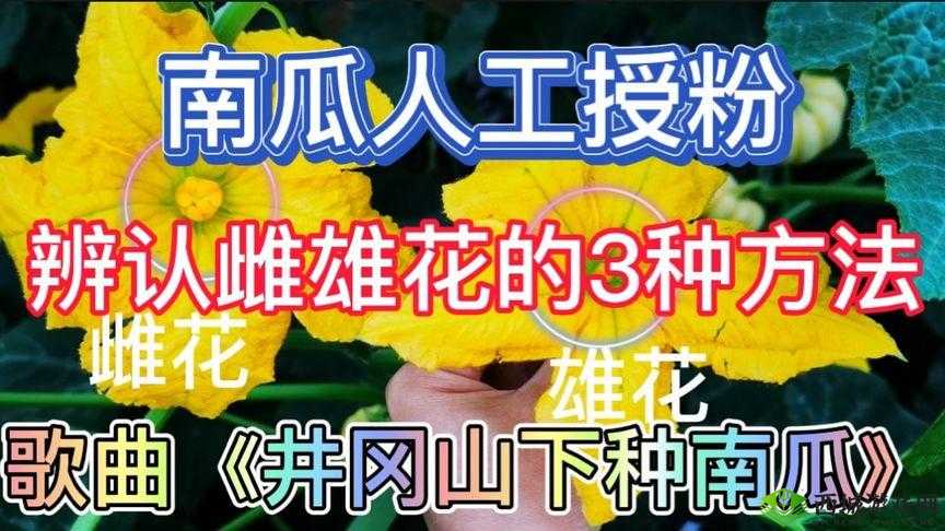 鎱堢Η 鐨勪竴銡娓鐗堟櫘閫氳瘽:探寻其中的奥秘