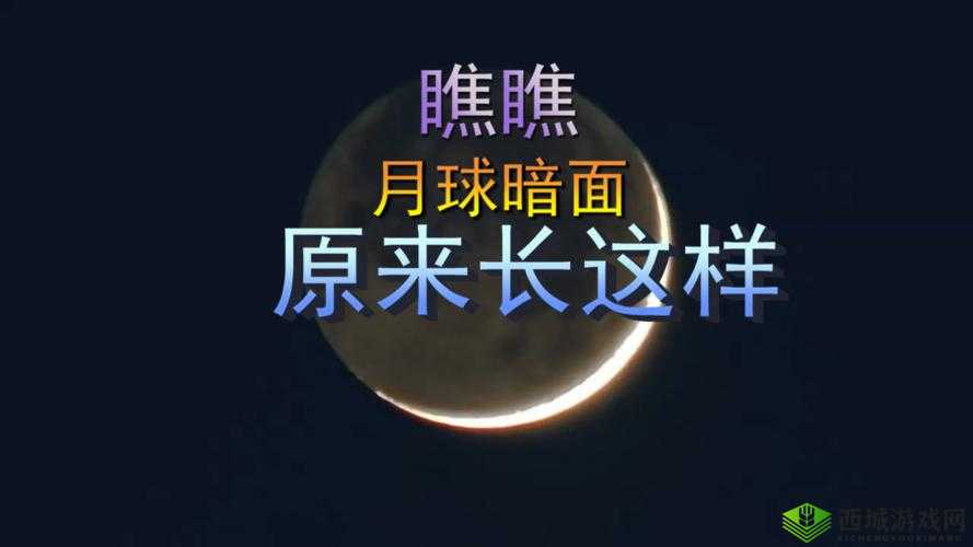 寮鍨︽瘝浜茶偉娌冪殑鍦熷湴鍙浠涔:关于它的探讨