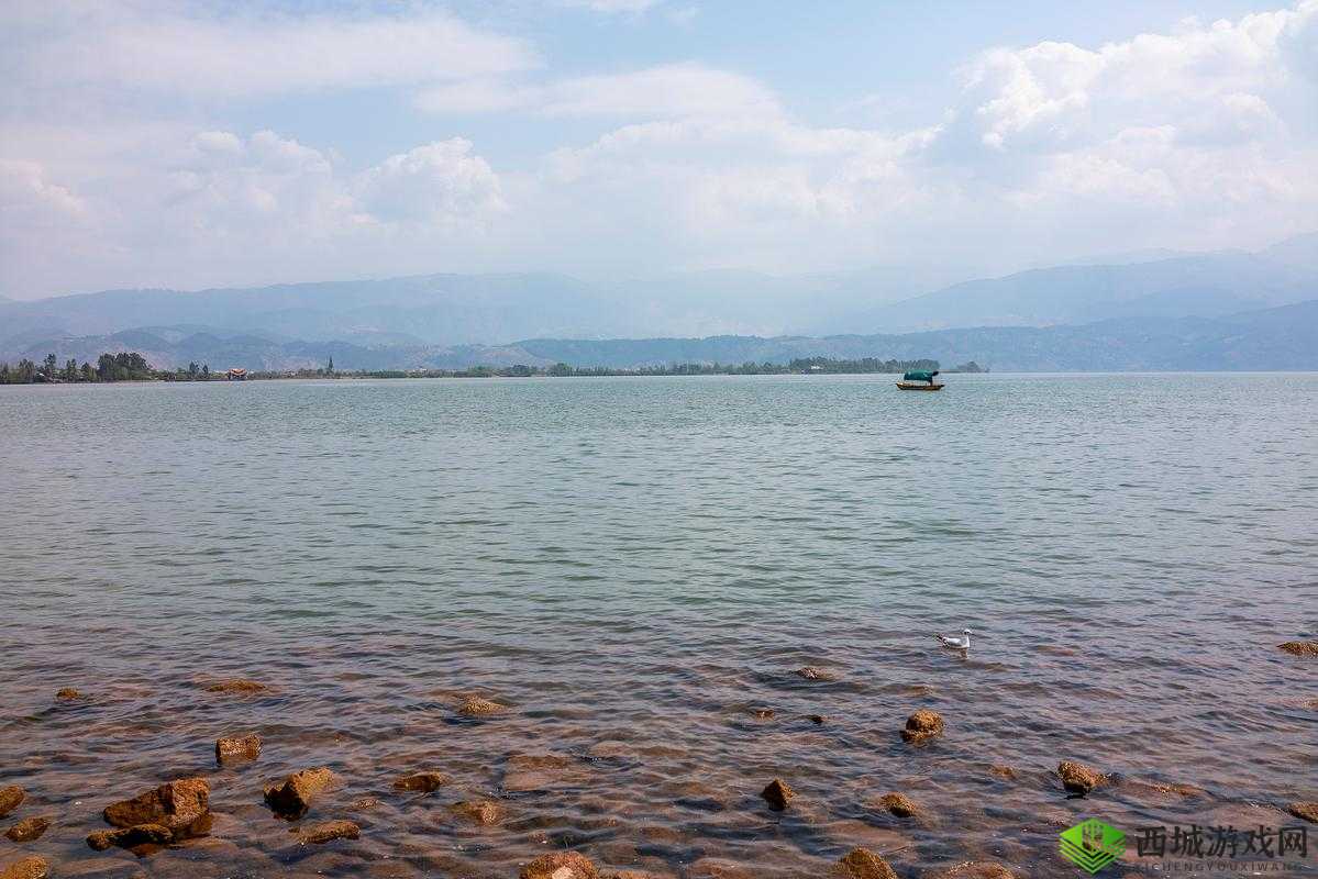 鎼炲熀杞浠：探索其独特魅力