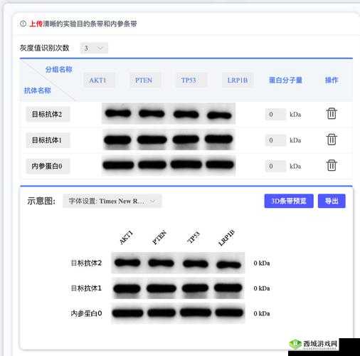 天天撸啊撸常见问题解答及常见 FAQ 汇总大揭秘