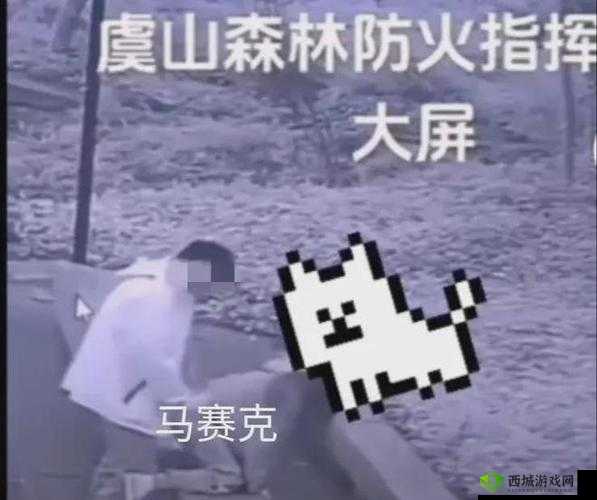 拔萝卜打牌不盖被子：这都什么事呀