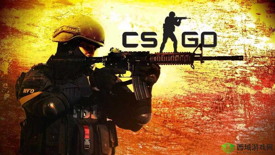 CSGO 高清视频免费播放软件:畅享精彩无极限
