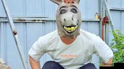 傻大壮长的驴一样的东西:探究其独特之处