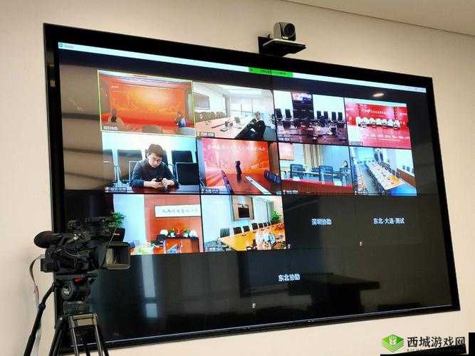 Zoom 人马 OKZOOM 功能：视频互动、在线会议