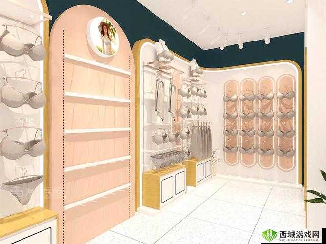 内衣柜樱花 1-6:精美内衣的魅力展示