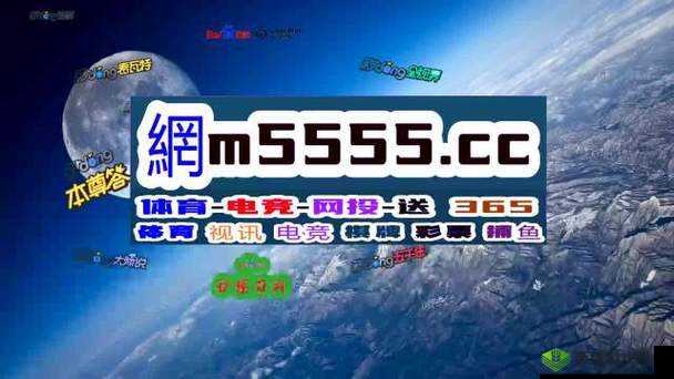 免费的行情网站入口：最新资讯抢先看