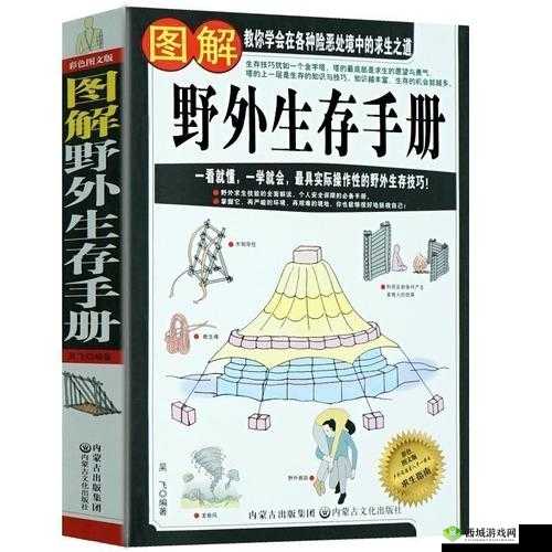 荒野求生宝典:离开这些你将寸步难行,生存技巧全解析