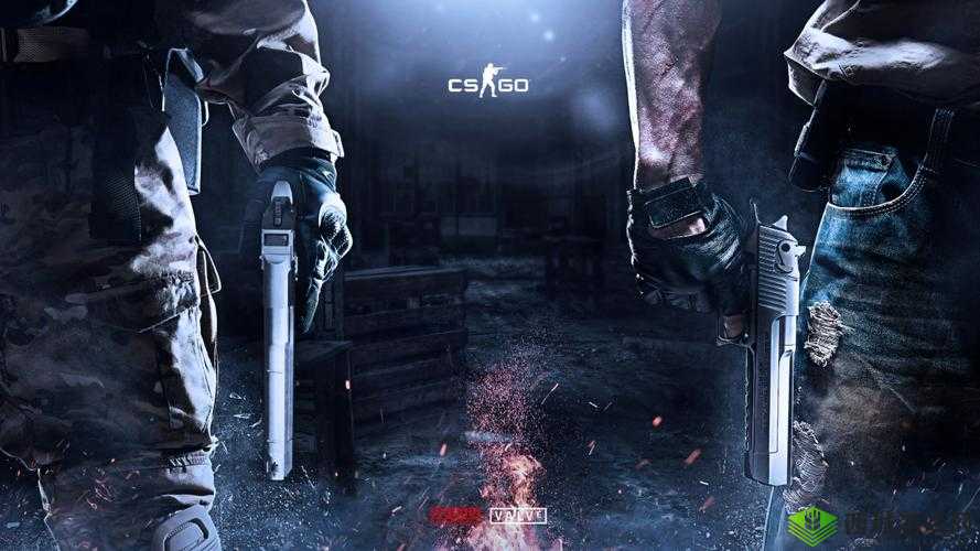 csgo 高清大片 955:震撼来袭