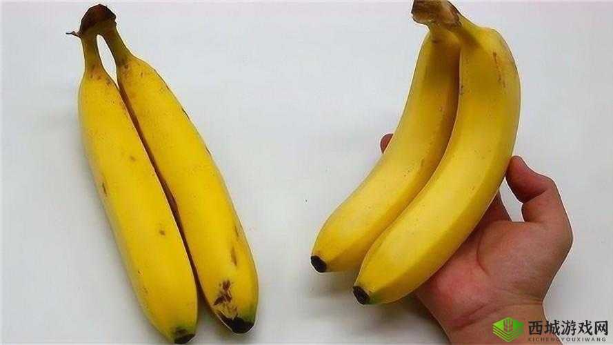 香蕉直的甜还是弯的甜:探究背后真相