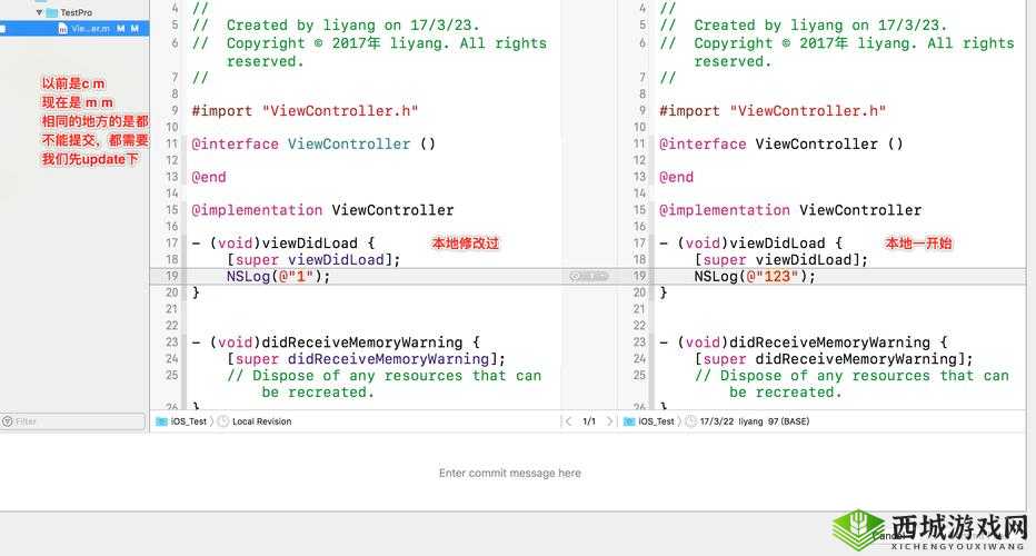 国外免费 SVN:代码托管的优质选择