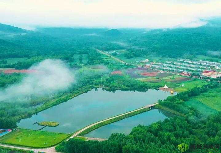 伊春园 2023 入口直达：全新体验开启