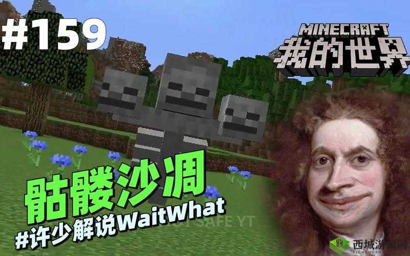 奶块世界中的骷髅王者位置揭秘,骷髅卫士所在览无余