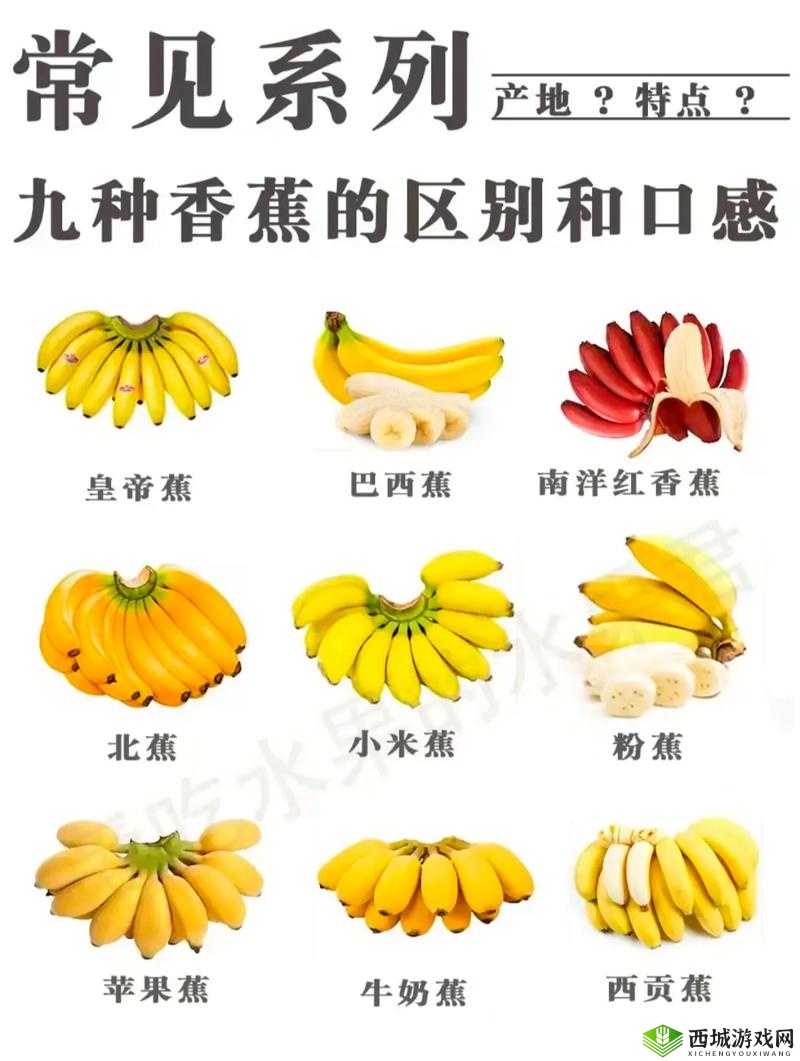 进口香蕉国产香蕉营养区别:到底有何不同