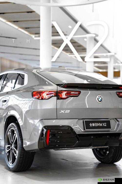 中国 x 站安装包 2024：全新体验来袭