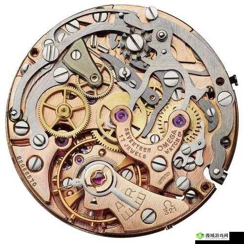 omega 教养所地下室道具的神秘探索