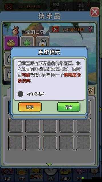 口袋灵龙携带品的使用方法与技巧