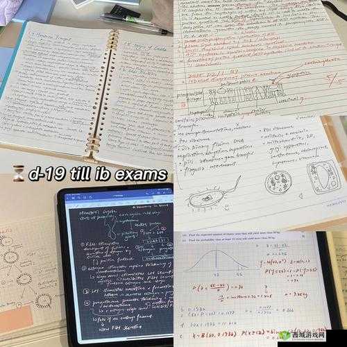 GoGoGo大胆人文艺术评价:深度剖析与见解