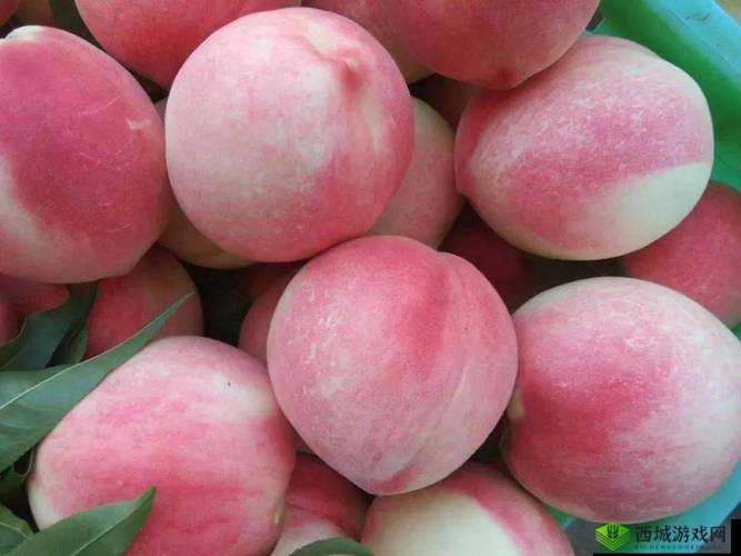 成熟水蜜桃的甜蜜诱惑:品尝一口,沉浸在桃色世界里