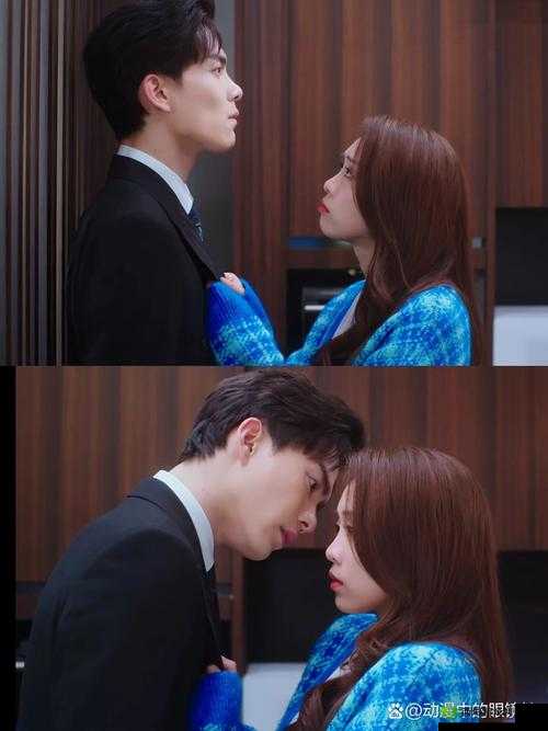 商且联姻 11h 婚后:先婚后爱的甜蜜生活