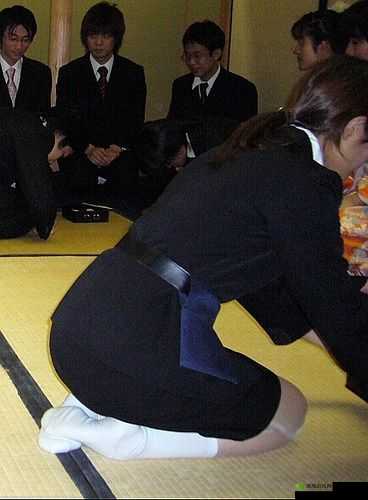 m 对主人的跪礼和要求:深度解析背后意义