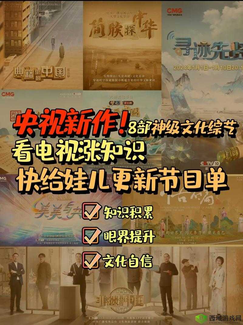 17c 网站换哪里去了:探寻其踪迹