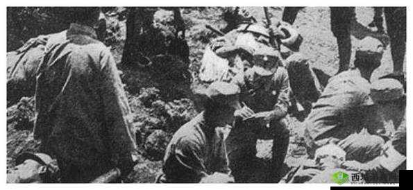 战神大陆英雄齐聚,谁是榜单之首?