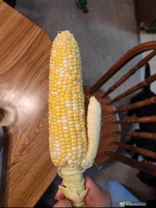 丝瓜秋葵草莓香蕉榴莲绿大全之美味集合