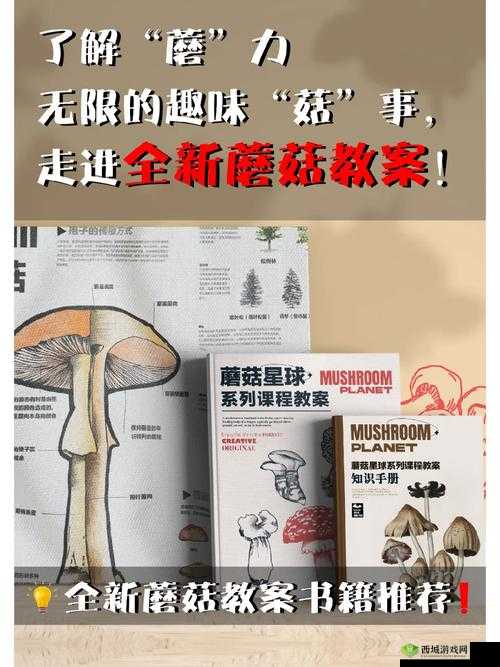 授课方式 by 蘑菇:精彩课程来袭